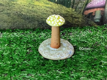 Mushrooms