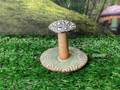 Mushrooms