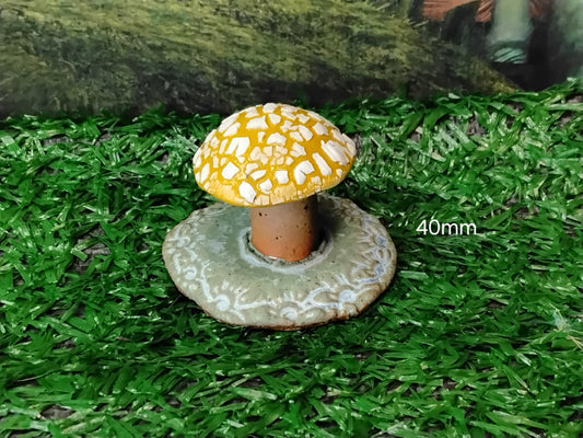 Mushrooms